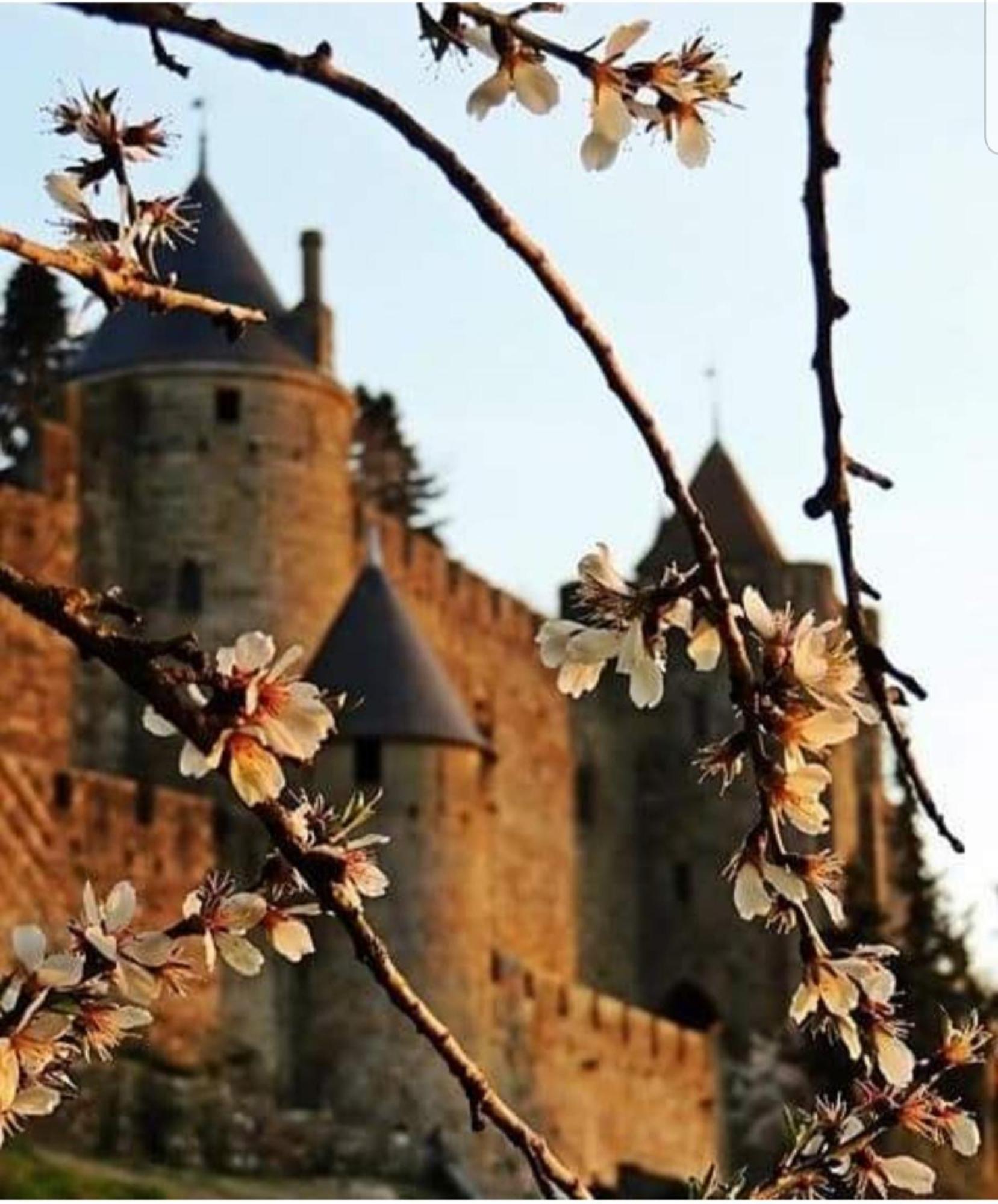 Villa Elegante A Carcassonne Avec Jardin Et Jacuzzi Екстериор снимка